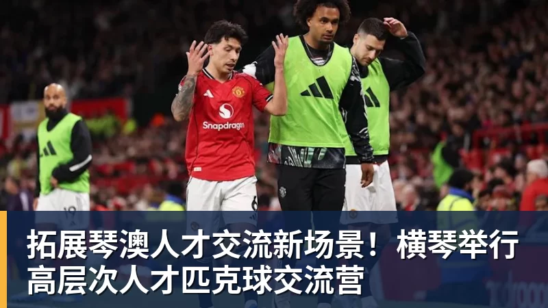 拓展琴澳人才交流新场景！横琴举行高层次人才匹克球交流营